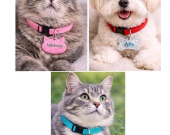Custom Pet ID Tag