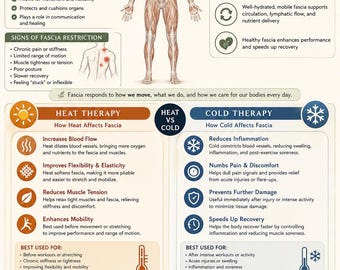 Guida al tessuto connettivo fasciale, poster per il benessere e il recupero muscolare (download digitale)
