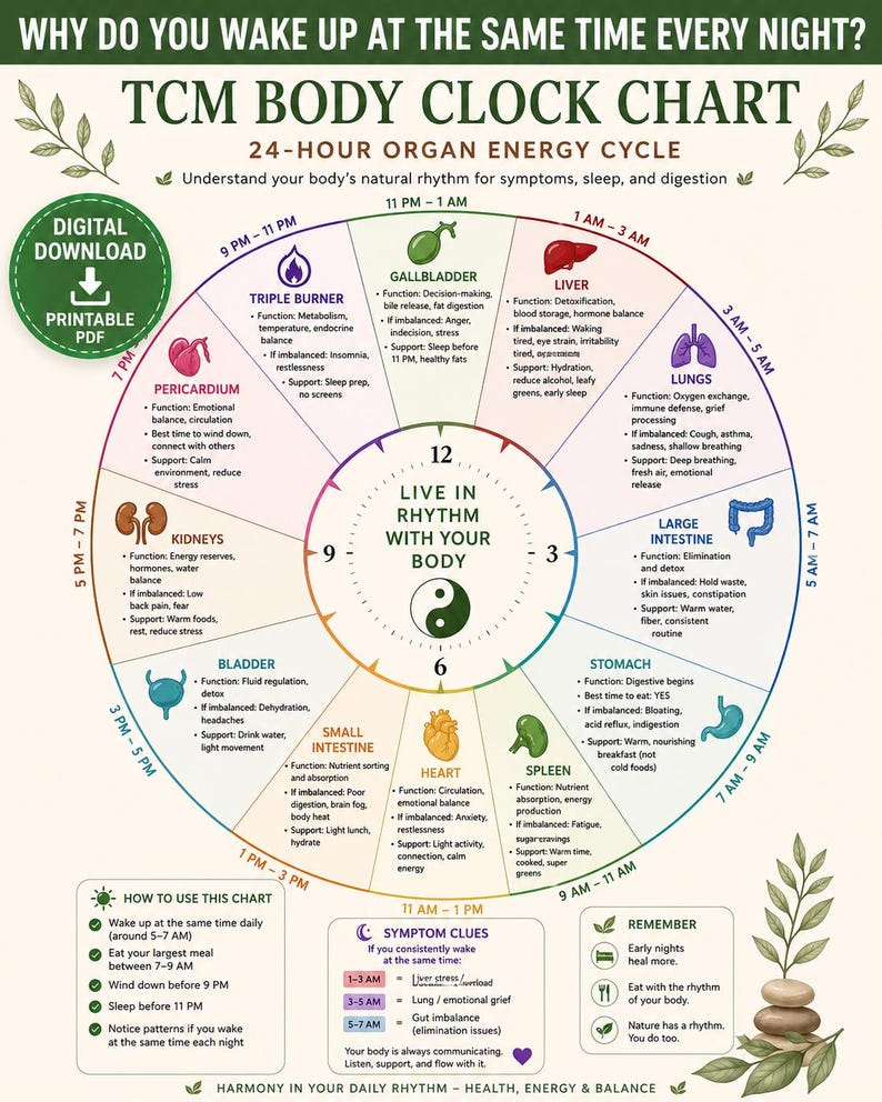 TCM Body Clock Chart, 24-hour Organ Energy Cycle (digital Download) - Etsy