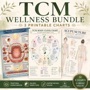 May include: A TCM Wellness Bundle featuring three printable charts: a Teeth Meridian Chart showing the mouth-body connection, a TCM Body Clock Chart illustrating the 24-hour organ energy cycle, and an Acupuncture Meridians and Points chart.