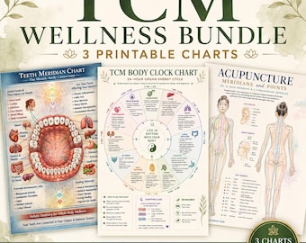 Pacchetto Benessere MTC / Tabella dell'orologio biologico, meridiano dei denti e meridiani di agopuntura / Medicina Tradizionale Cinese Stampabile