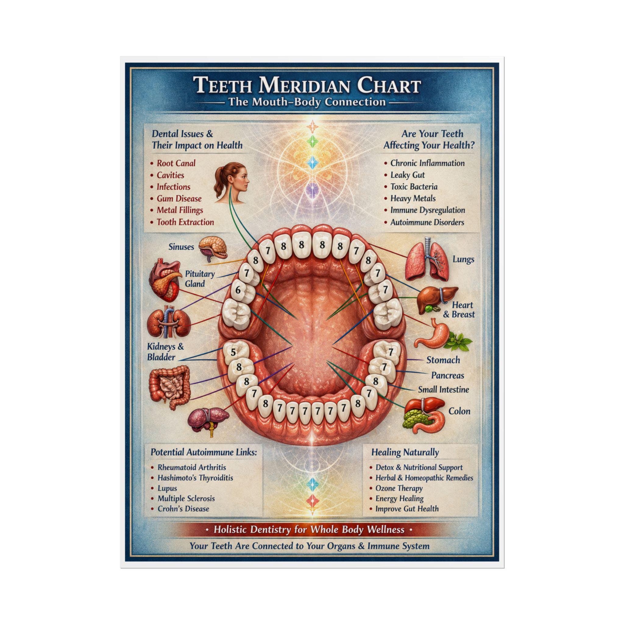 Tooth Meridian Chart.pdf Teeth Meridian Chart Rolled Poster | Dental Anatomy Mouth-body ...