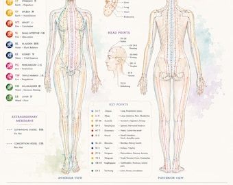 Acupuncture Meridians Chart | TCM Wall Art, Holistic Wellness Poster (Digital Download)