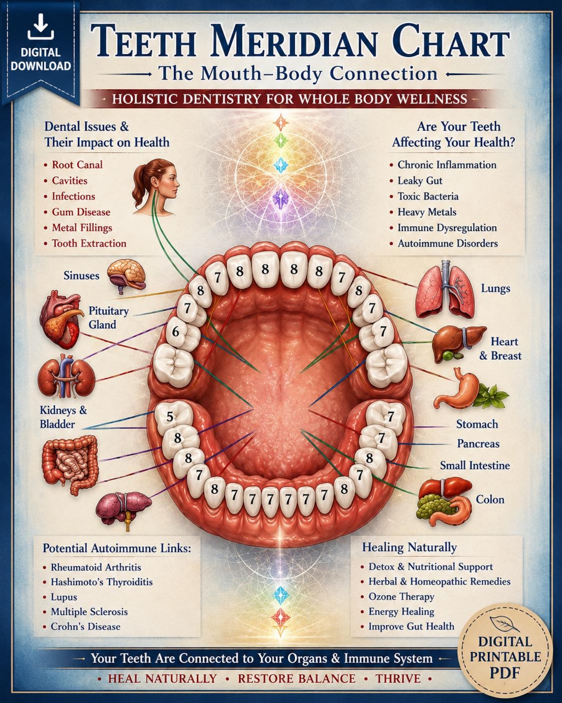 Tooth Meridian Chart.pdf Meridian Chart: Holistic Dentistry & Body Systems - Etsy