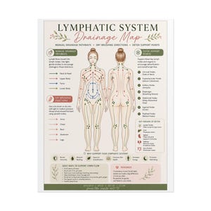 May include: An educational poster titled Lymphatic System Drainage Map featuring front and back anatomical outlines of a human body. The chart displays colored arrows indicating drainage pathways, dry brushing directions, and key detox support points.