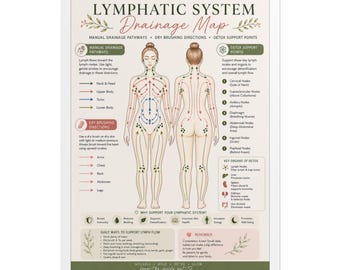 Lymphatic System Drainage Map Poster | Rolled Anatomy Wall Art
