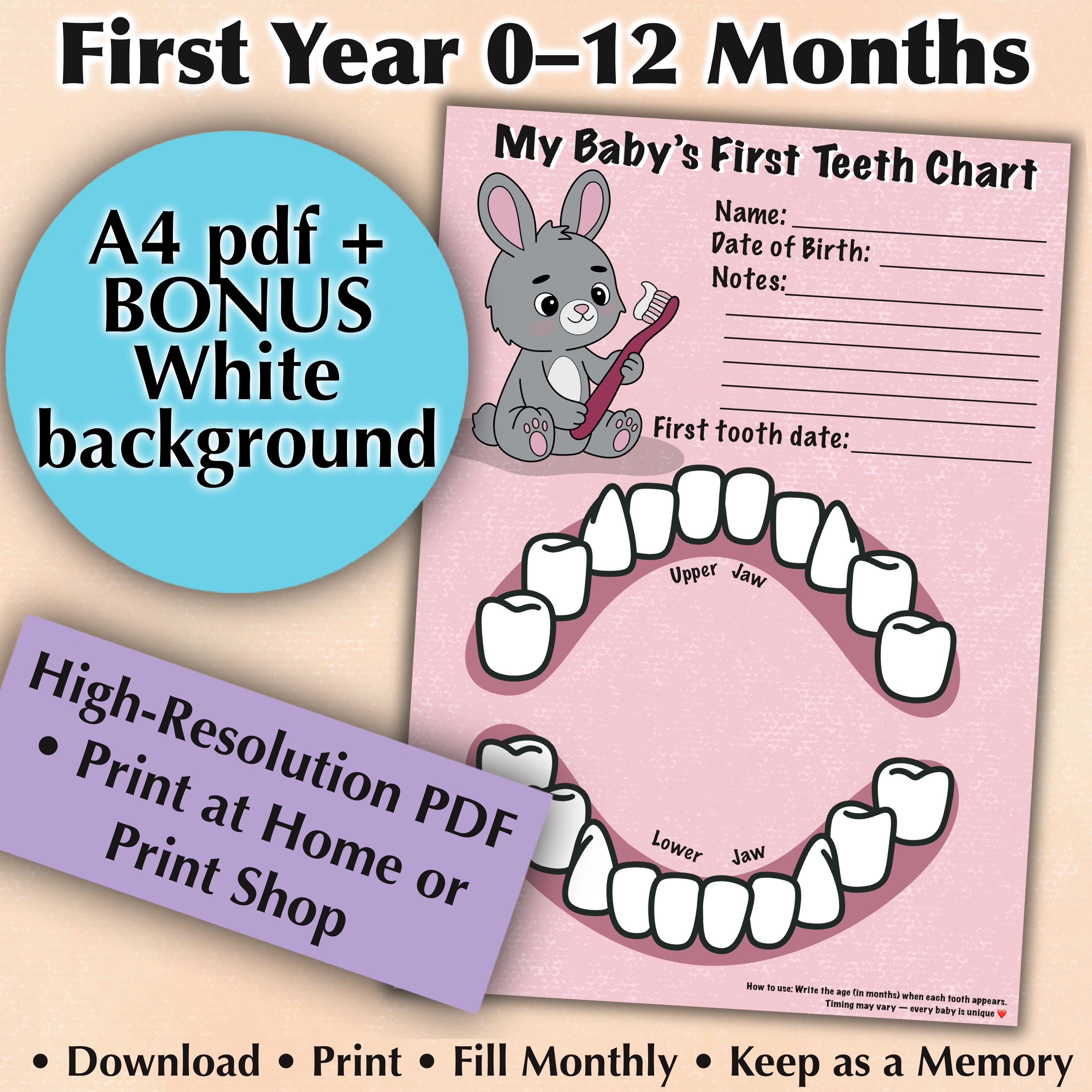 First Tooth Chart Baby First Teeth Chart Printable | Bunny Design, 0-12 Months (A4 PDF ...
