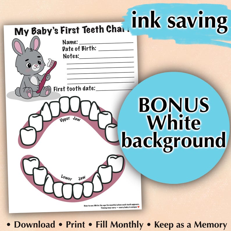 First Tooth Chart Baby First Teeth Chart Printable | Bunny Design, 0-12 Months (A4 PDF ...