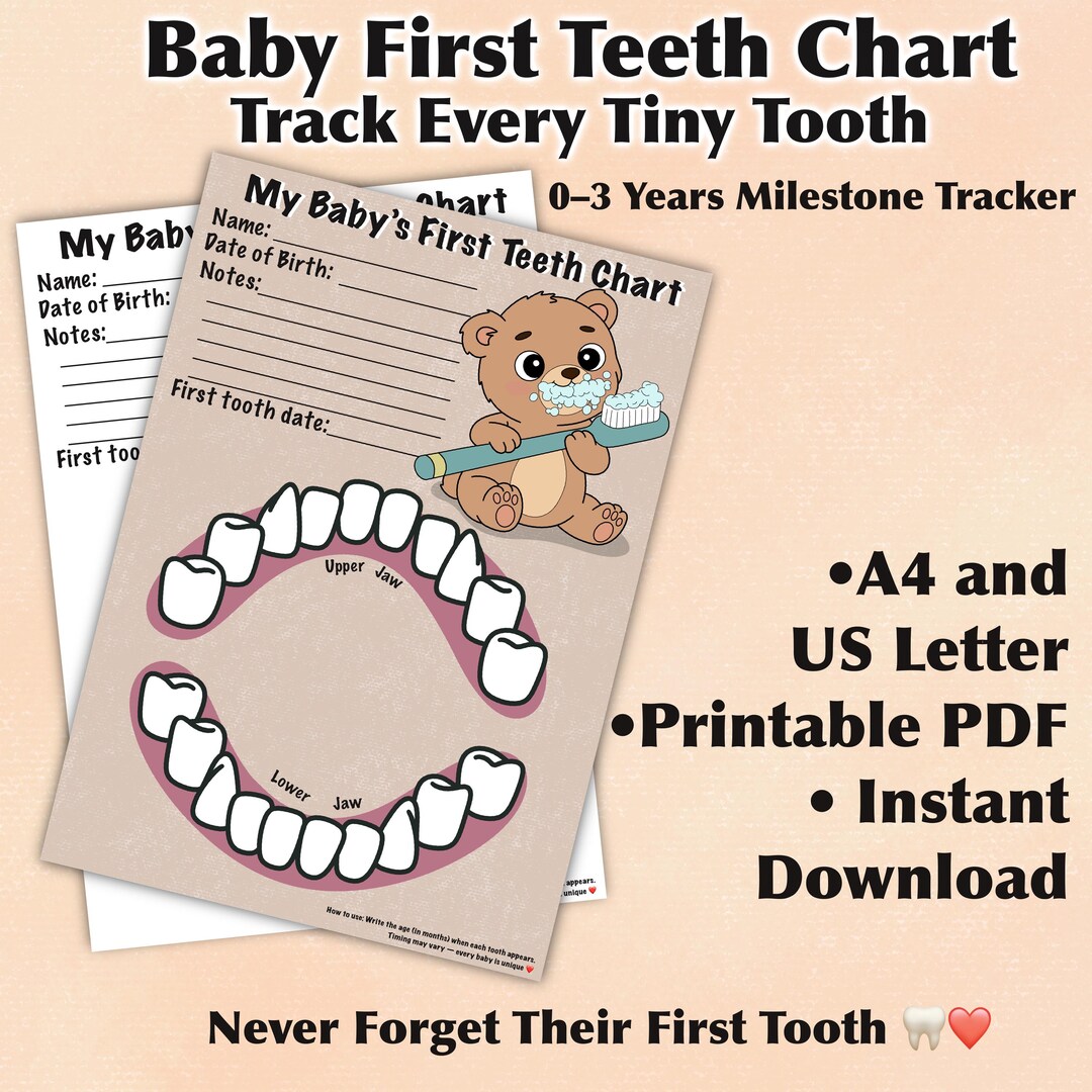 First Tooth Chart Baby First Teeth Chart Printable | Bear Design, 0-12 Months (A4, US ...
