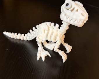 3D Printed Skeleton Raptor | Articulated Dino Skeleton | Poseable Dinosaur Desk Decor