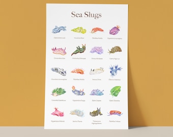 Impresión de acuarela de babosa marina: Póster de arte de nudibranquios