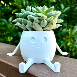 May include: A white, whimsical planter shaped like a smiling character, complete with arms and legs. The planter holds a green succulent plant. The planter is sitting on a wooden surface, with a green leafy background.