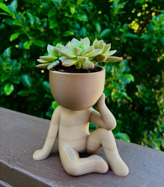 The Thinker Planter, Quirky 3D Printed Head Planter