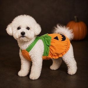 May include: A small white dog with curly fur wearing an orange and green pumpkin-themed pet costume. The garment features a bright orange back section with a black jack-o'-lantern face print, green straps, and a ruffled hemline design.