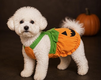 Pumpkin Dog Costume, Orange Jack O Lantern Pet Outfit, Halloween Fancy Dress