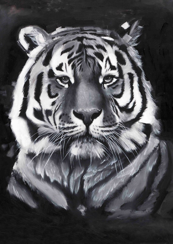 black and white big cat