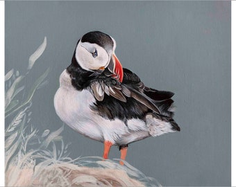 puffin bird art print Giclee print wall art illustration bird painting