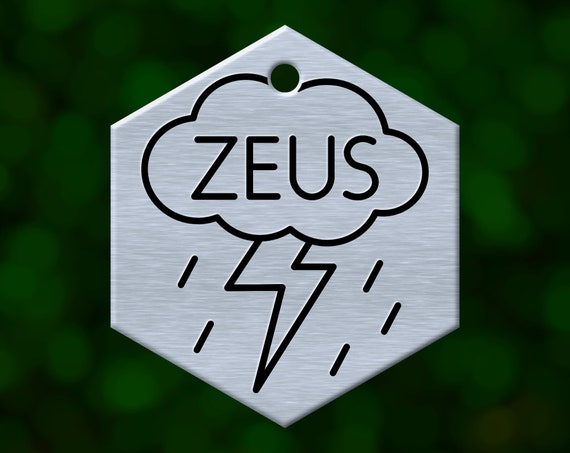 Custom Lightning Bolt Dog Tag. Hexagon Pet ID Name Tag