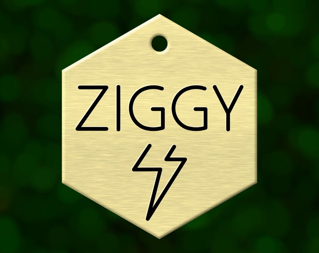 Custom Lightning Bolt Dog Tag for Pet Collar. Personalized Etsy UK