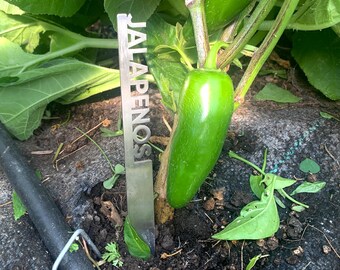 Metal plant markers for vegetable garden. Durable & rust-resistant stainless steel. Made in the USA.