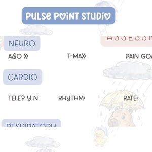 Może przedstawiać: Jasny przewodnik po studiach medycznych z tekstem "Pulse Point Studio" i różnymi terminami medycznymi, takimi jak "Neuro", "Cardio" i "Rate". Obraz zawiera ilustracje kreskówkowe zwierząt pod parasolami, z motywem deszczowej pogody.