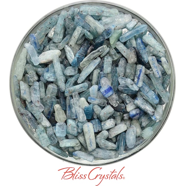 28 gm Paraiba KYANITE Small Mini Mixed Sizes (50 + pieces) Blue Green Teal Healing Crystal and Stone Jewelry & Craft #KP07