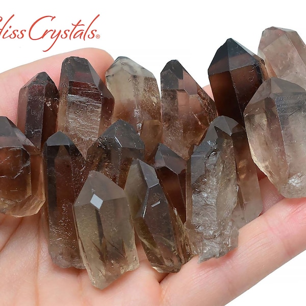 2 Rough SMOKY QUARTZ Points 1" Size Large Healing Crystal and Stone Smokey Raw Gem Gemstone Wand #SR2