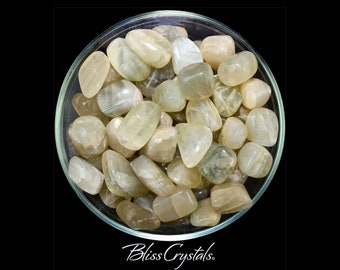 1 Green MOONSTONE Tumbled Stone Silver Flash Healing Crystal and Stone Divine Feminine #GM01