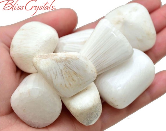 1 Jumbo SCOLECITE Tumbled Stone Crystal Polished Natural Healing Crystals and Stones SC06