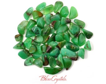 Gemmy! CHRYSOPRASE Tumbled Stone , you choose Size Healing Crystal and Stone Jewelry and Crafts Natural Crystals #CT04