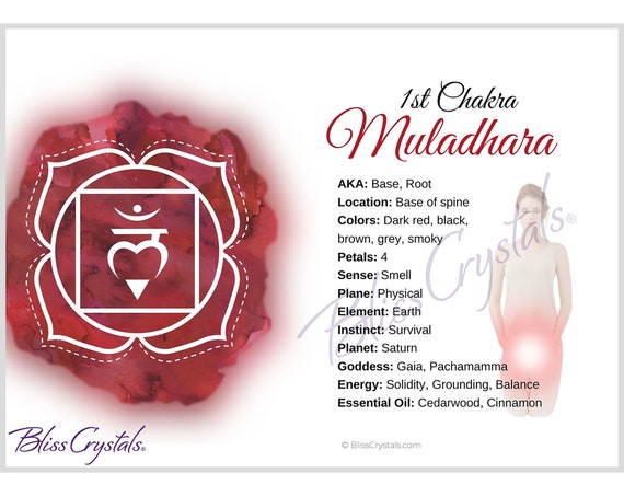 Root 1st Chakra Muladhara Information Card Double Sided HC76 - Etsy