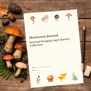 May include: A Mushroom Journal with the text "Mushroom Journal Personal Foraging Log & Species Collection" is displayed on a wooden surface. The journal is surrounded by various mushrooms, a pencil, and an eraser. The journal has illustrations of mushrooms.