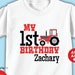 see more listings in the Birthday Shirts & Bibs section