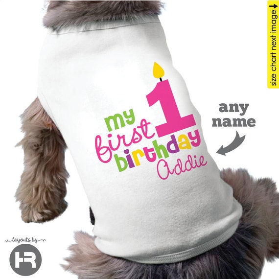 Dog Birthday Shirt Personalized Girl Dog 1st Birthday Outfit Etsy Canada