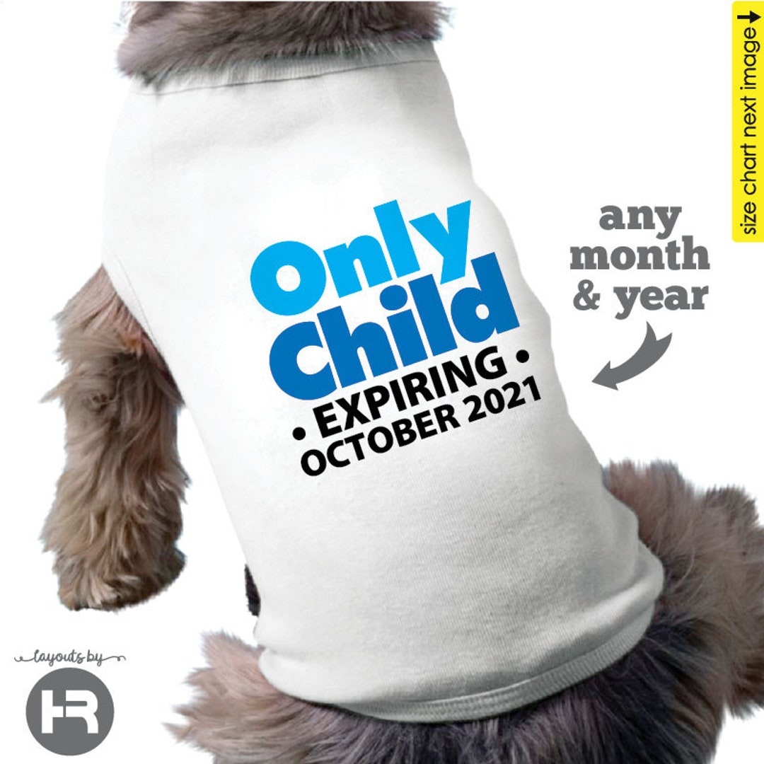 Dog Big Brother Shirt Only Child Expiring Shirt Big Etsy