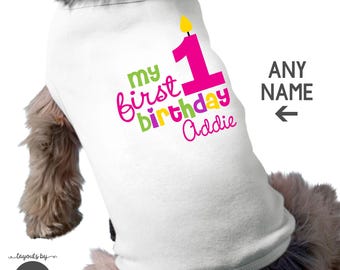 May include: A white pet shirt featuring the text 'my first birthday' in green and pink, a large pink number 1 with a yellow candle flame, and the name 'Addie' in pink script. To the right, the text 'ANY NAME' appears with an arrow.