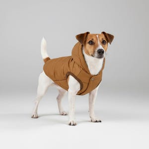 May include: A Jack Russell Terrier wearing a brown hooded dog coat. The coat has a quilted design and a dark brown trim around the edges and button closure. The dog is standing on a white surface.