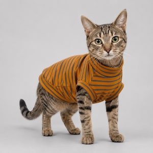 May include: A brown tabby cat wearing a sleeveless shirt with a mock neck collar. The shirt features a pattern of thin, vertical dark gray stripes against a mustard brown background, covering the torso and neck area of the feline.
