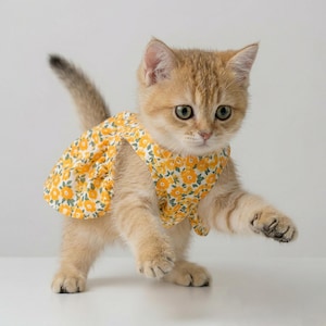 cat dress design Cat Dress