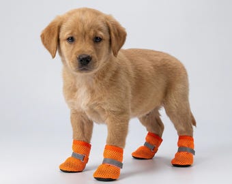 Stivali traspiranti in lino per cani - Protezione antiscivolo per le zampe, scarpe estive