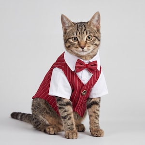 formal cat dress Cute Striped Kitty Dress main image 1