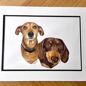 Custom Hand-Drawn Pet Portrait, Coloured Pencil Dog or Cat (A4, A5 or A6) 2 Pets Portrait (A4)
