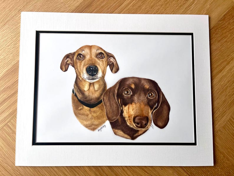 Custom Hand-Drawn Pet Portrait, Coloured Pencil Dog or Cat (A4, A5 or A6) 2 Pets Portrait (A4)