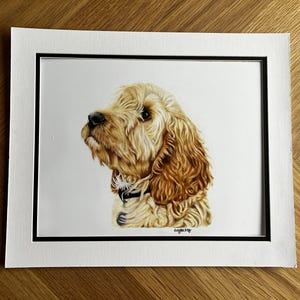 May include: A detailed color portrait of a golden-colored dog with long, wavy fur, shown from the chest up. The dog wears a black collar with a small tag. The artwork is set within a white mat board featuring a thin black inner border.
