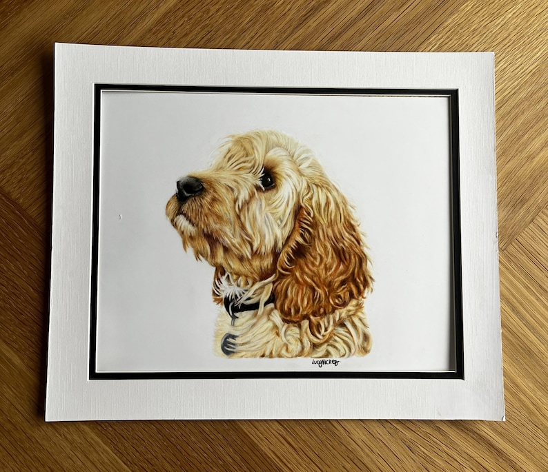 May include: A detailed color portrait of a golden-colored dog with long, wavy fur, shown from the chest up. The dog wears a black collar with a small tag. The artwork is set within a white mat board featuring a thin black inner border.
