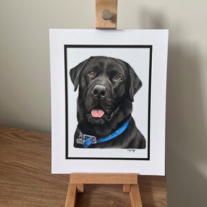May include: A realistic colored pencil drawing of a black Labrador retriever wearing a bright blue collar with a silver tag. The portrait is set within a white mat board with a thin black border and is displayed on a small wooden easel.