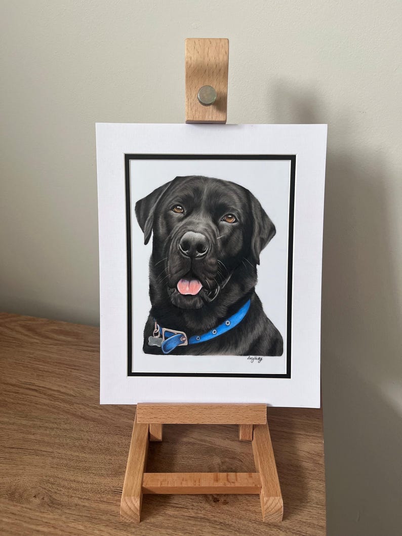 May include: A realistic colored pencil drawing of a black Labrador retriever wearing a bright blue collar with a silver tag. The portrait is set within a white mat board with a thin black border and is displayed on a small wooden easel.