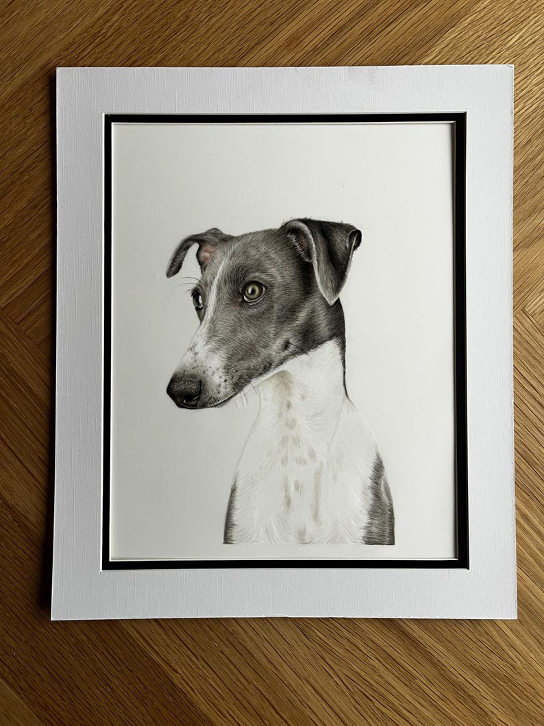 May include: A detailed pencil drawing of a grey and white dog with large, expressive eyes, presented in a white mat board with a thin black inner border. The artwork captures the dog's head and neck in profile, showcasing fine fur texture.