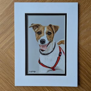 Custom Hand-Drawn Pet Portrait, Coloured Pencil Dog or Cat (A4, A5 or A6) Mini Portrait (A6)