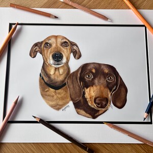 Custom Hand-Drawn Pet Portrait, Coloured Pencil Dog or Cat (A4, A5 or A6) image 9